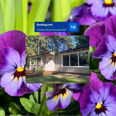 Sjöbo Nordic Relax House - Woodhouseヴィラ エクステリア 写真