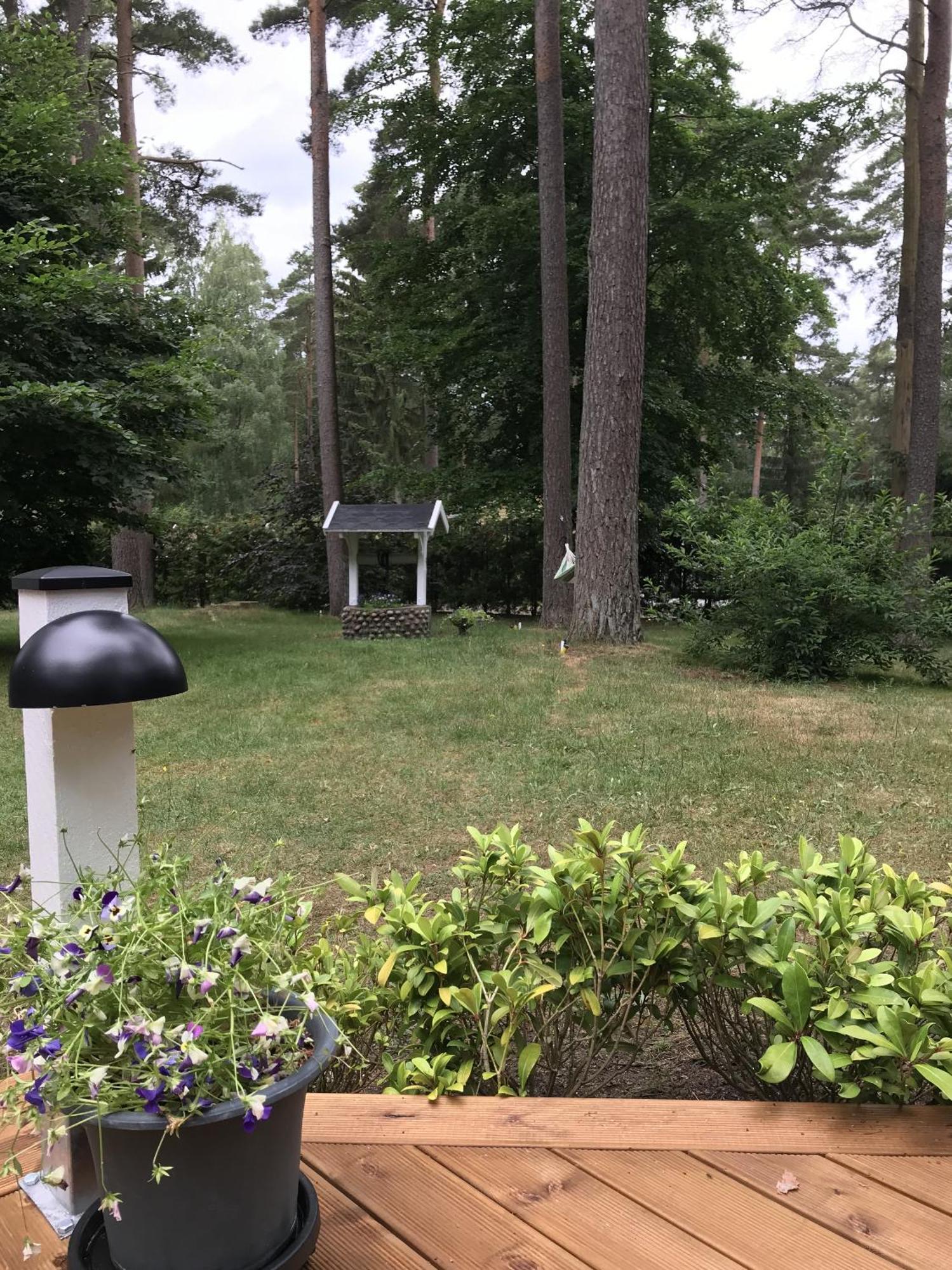 Sjöbo Nordic Relax House - Woodhouseヴィラ エクステリア 写真
