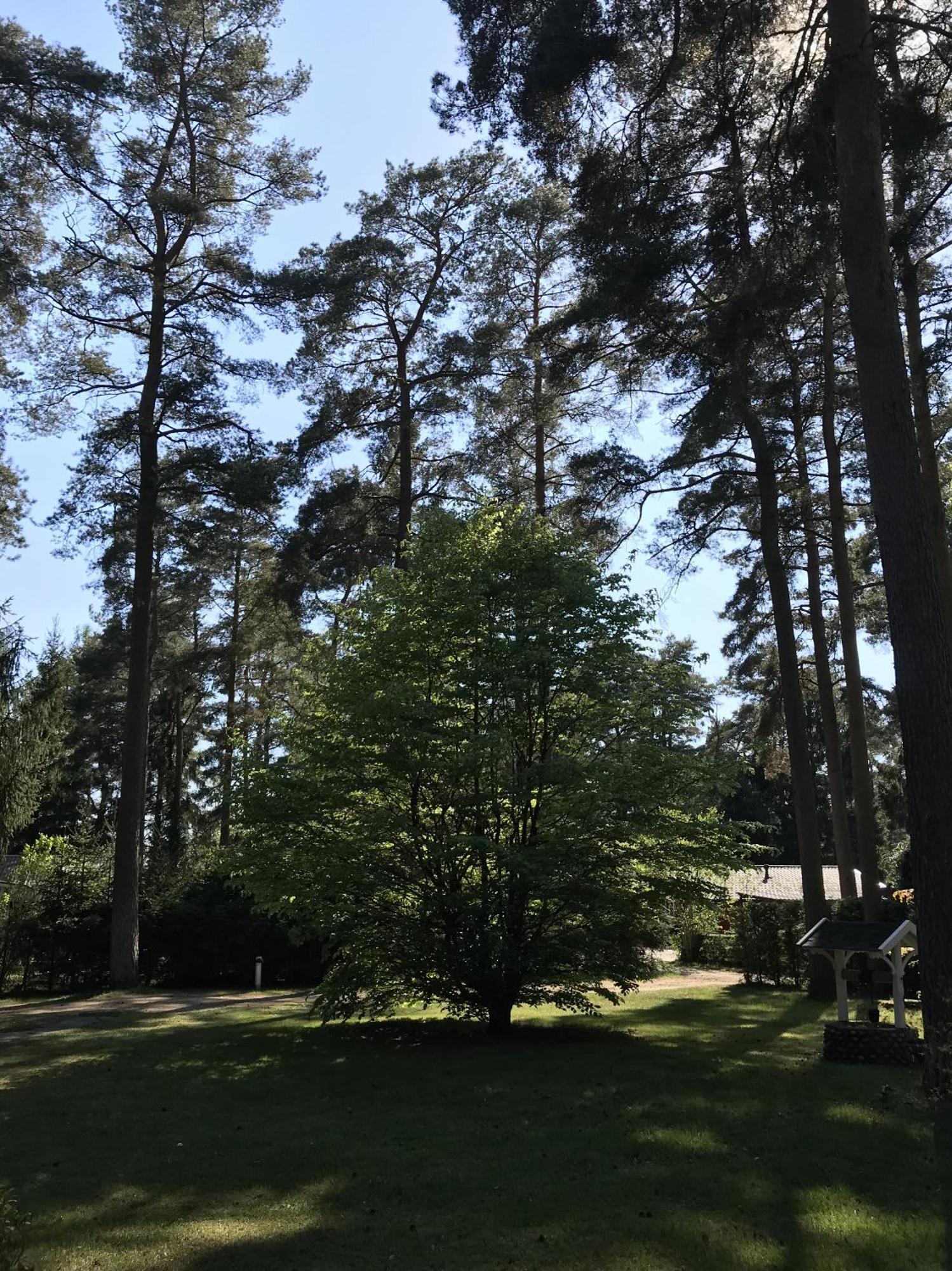 Sjöbo Nordic Relax House - Woodhouseヴィラ エクステリア 写真